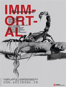 将军在上之极乐净土