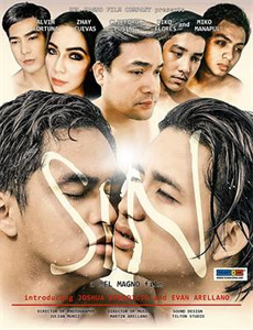 宝可梦地平线台配