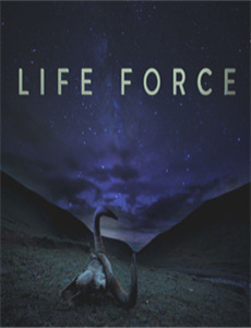 精灵宝可梦第2季